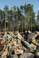 Pile of stones in front of forest