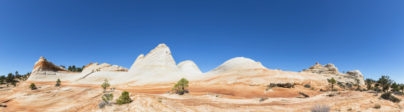 USA, Utah, Canaan Mountain, Hildale, hiking trip towards White Domes and Water Canyon, colored sandstone rocks