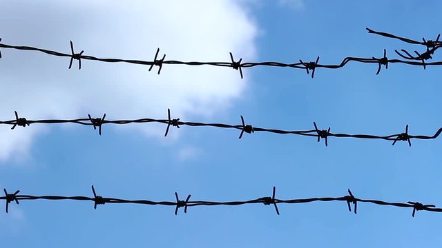 Barbed wire. Close up
