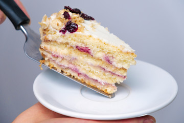 A piece of delicious cake is laid on a white plate