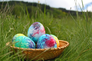 Colored Easter eggs on green grass
