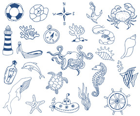 Hand drawn sea doodle Icons collection on white background. Vector illustration  © EvgeniiasArt