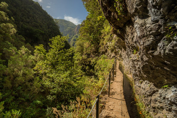 Fototapeta na wymiar Rain forest path into mountains valley