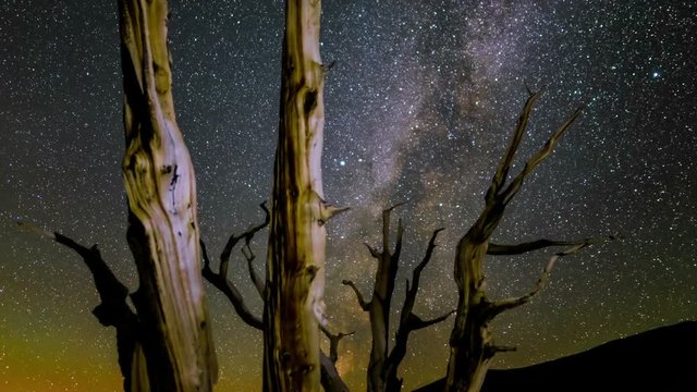  Milky Way Perseid Meteor Shower Bristlecone Pine Forest 04 Time Lapse