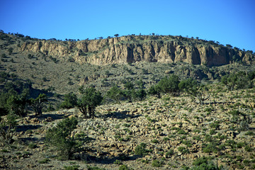 valley in   africa morocco the atlas dry mountain