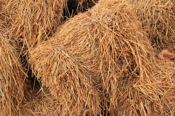 Straw stack agriculture farm