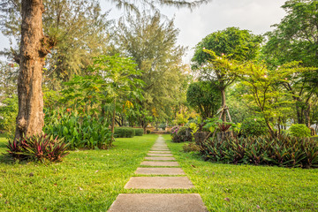 Decorative exterior garden. There are varieties of botany.