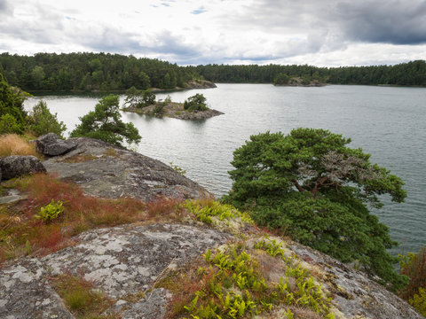 Gryt Bilder Durchsuchen 78 Archivfotos, und Videos