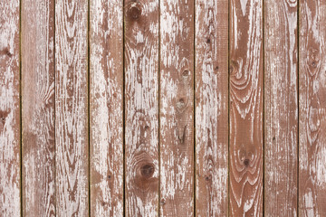 Natural Old White Obsolete Wooden Wall Board Background Texture.