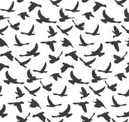 Fototapeta premium Vector, seamless pattern, silhouette of flying birds, background with black birds