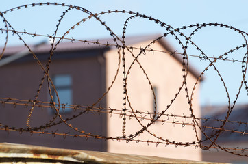 Barbed wire on the fence.