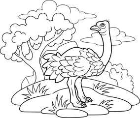 Cartoon funny ostrich coloring book