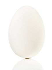 Gänseei