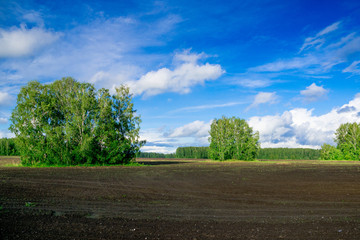 ploughed farm field in early spring