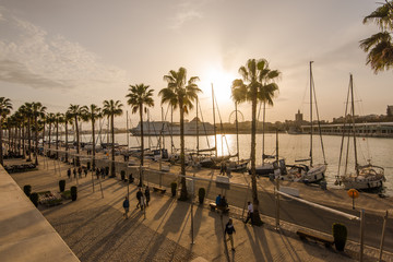 Vibrant Malaga seaside and harbour promenade