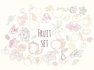 Set of vector illustration of fruits and berries - 141040625