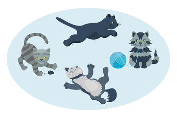 Cat breed cute kitten pet portrait fluffy young adorable cartoon animal and pretty fun play feline sitting mammal domestic kitty vector illustration.