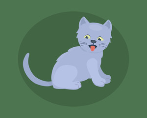 Cat breed cute kitten gray pet portrait fluffy young adorable cartoon animal and pretty fun play feline sitting mammal domestic kitty vector illustration.