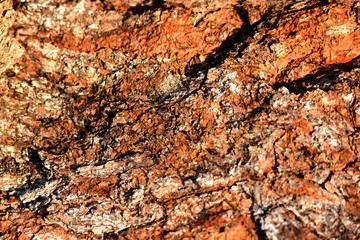 Nature background