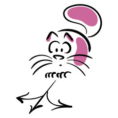 Cat is at the crossroads