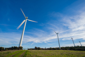Fototapeta premium Wind Farm