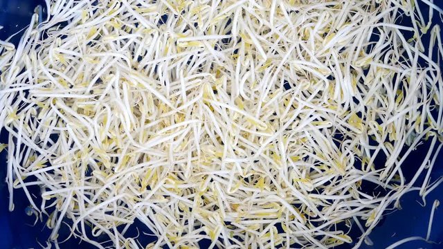 The organic beansprout no hormone, Sodium hydrosulphite and formalin on water.
