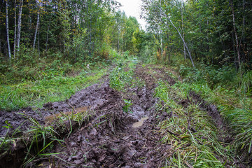 Obraz premium Dirty forest road with tracks