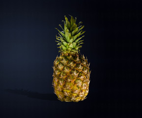 Pineapple isolated on dark blue background