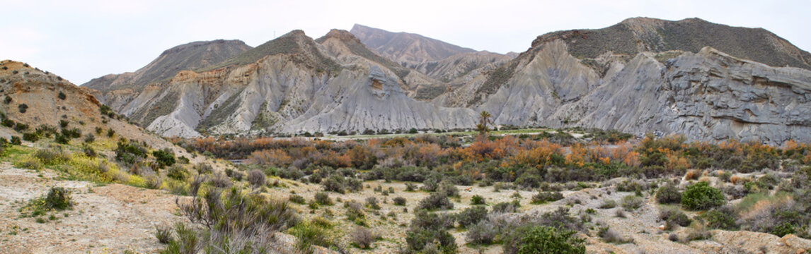 Desierto de Tabernas, Panorama