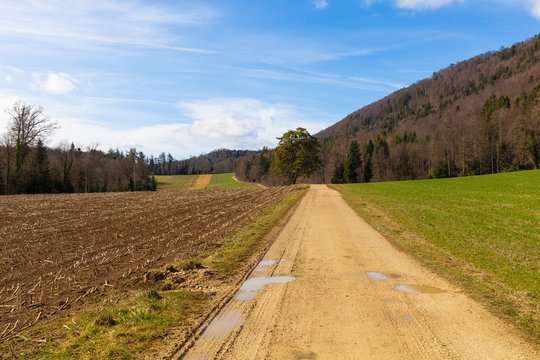 Countryside landscape with dirt road