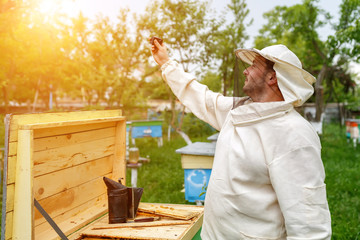 Beekeeper removes itself on the apiary Action Camera. Video Blog