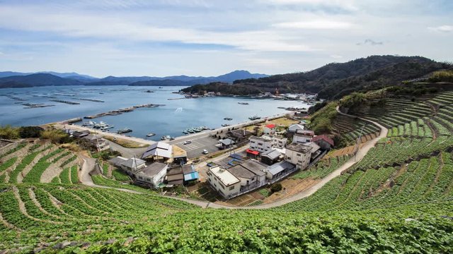 遊子水荷浦の段畑（愛媛県宇和島市） タイムラプス