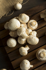 Raw Organic Baby Button Mushrooms
