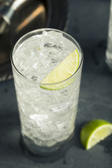 Alcoholic Vodka Tonic Highball Cocktail