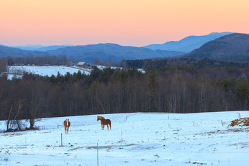 Winters appearance in the Vermont highlands