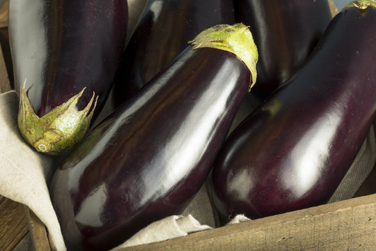Raw Organic Purple Eggplant