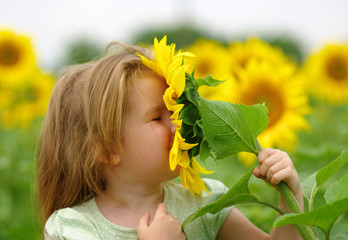  girl and sunflower on the field