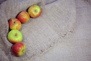 the apples on the background of the canvas.