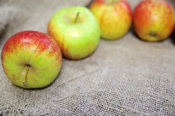 the apples on the background of the canvas.