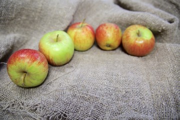 the apples on the background of the canvas.