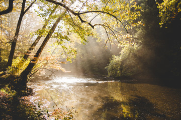 Rural river with sunlight shining through trees