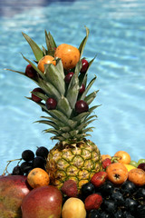 close up shot of a variety of fruits
