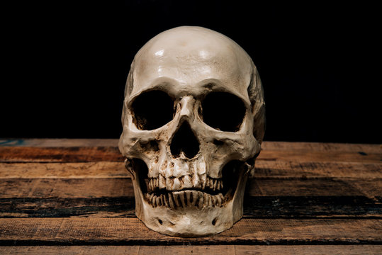 Human skull on old wood background ; still-life