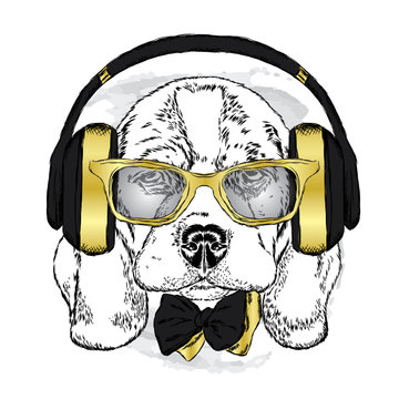 Cute puppy in headphones , glasses and tie . Vector illustration.