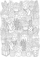 Hand drawn set of succulents, cactuses and pots.