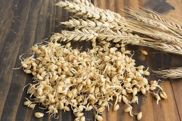 Sprouted Wheat