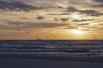 Baltic Sea at sunset light. Poland.