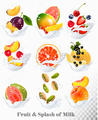 Big collection icons of fruit in a milk splash. Guava, plum, mango, blackcurrant, strawberry, cherry, blueberry, honey, melon, peach. Vector Set