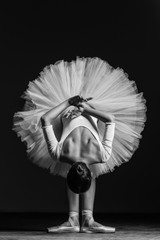 Fototapety  Młoda piękna balerina pozuje w studio