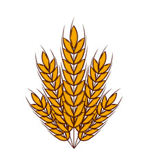 wheat ears icon over white background. colorful design. vector illustration